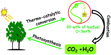 Graphical abstract: Direct thermocatalytic transformation of pine wood into low oxygenated biofuel