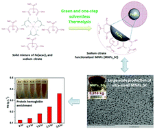 Graphical abstract: A solventless thermolysis route to large-scale production of ultra-small hydrophilic and biocompatible magnetic ferrite nanocrystals and their application for efficient protein enrichment