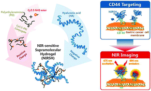 Graphical abstract: CD44-specific supramolecular hydrogels for fluorescence molecular imaging of stem-like gastric cancer cells