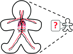 Graphical abstract: On being the right size: scaling effects in designing a human-on-a-chip