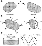 Graphical abstract: Let's push things forward: disruptive technologies and the mechanics of tissue assembly