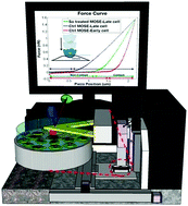 Graphical abstract: Bioactive sphingolipid metabolites modulate ovarian cancer cell structural mechanics