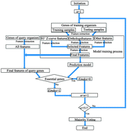 Graphical abstract: Predicting essential genes in prokaryotic genomes using a linear method: ZUPLS