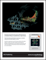 Graphical abstract: Back cover