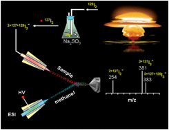 Graphical abstract: Extractive electrospray ionization mass spectrometry for sensitive detection of gaseous radioactive iodine-129