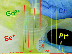 Graphical abstract: Trace element analysis of human urine collected after administration of Gd-based MRI contrast agents: characterizing spectral interferences using inorganic mass spectrometry