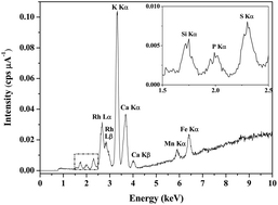 Graphical abstract: Evaluation of micro-energy dispersive X-ray fluorescence spectrometry for the analysis of plant materials