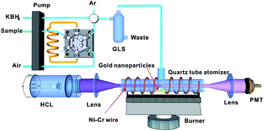 In-atomizer atom trapping on gold nanoparticles for sensitive