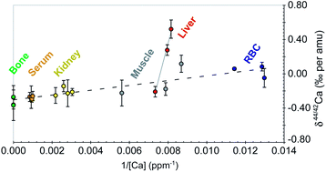 Graphical abstract: A simplified protocol for measurement of Ca isotopes in biological samples