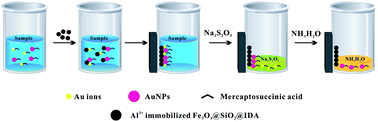 Graphical abstract: A novel strategy for sequential analysis of gold nanoparticles and gold ions in water samples by combining magnetic solid phase extraction with inductively coupled plasma mass spectrometry