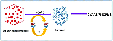 Graphical abstract: A novel Cu–BSA nanocomposite based vapour generation approach for the rapid determination of mercury in aqueous media by cold vapour atomic absorption spectrometry and on-line flow injection inductively coupled plasma mass spectrometry