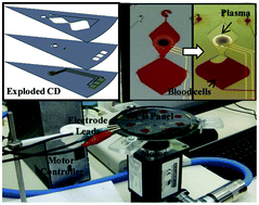 Graphical abstract: An electrochemical Lab-on-a-CD system for parallel whole blood analysis