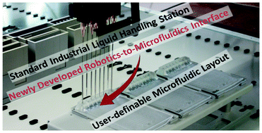 Graphical abstract: Microfluidics on liquid handling stations (μF-on-LHS): an industry compatible chip interface between microfluidics and automated liquid handling stations