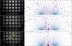 Graphical abstract: Characterization of the geometry of negative dielectrophoresis traps for particle immobilization in digital microfluidic platforms