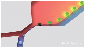 Graphical abstract: Ultrafast cell switching for recording cell surface transitions: new insights into epidermal growth factor receptor signalling