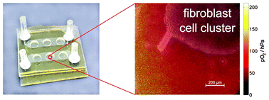 Graphical abstract: Microfluidic oxygen imaging using integrated optical sensor layers and a color camera