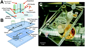 Graphical abstract: From sample to PCR product in under 45 minutes: a polymeric integrated microdevice for clinical and forensic DNA analysis