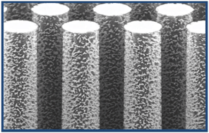 Graphical abstract: Ciliated micropillars for the microfluidic-based isolation of nanoscale lipid vesicles