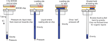 Graphical abstract: On-demand droplet loading for automated organic chemistry on digital microfluidics