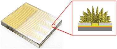 Graphical abstract: Optimized templates for bottom-up growth of high-performance integrated biomolecular detectors