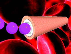 Graphical abstract: Challenges of the movement of catalytic micromotors in blood