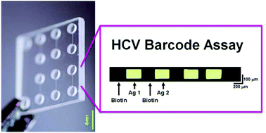 Graphical abstract: Microfluidic barcode assay for antibody-based confirmatory diagnostics