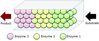 Graphical abstract: Design of a prototype flow microreactor for synthetic biology in vitro