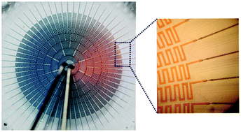 Graphical abstract: A microfluidic concentration-gradient droplet array generator for the production of multi-color nanoparticles