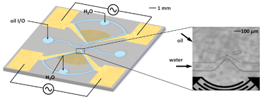 Graphical abstract: Surface acoustic waves for on-demand production of picoliter droplets and particle encapsulation