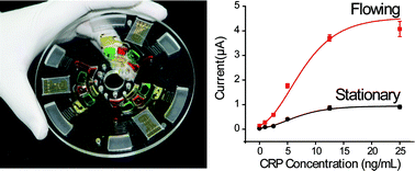 Graphical abstract: Flow-enhanced electrochemical immunosensors on centrifugal microfluidic platforms