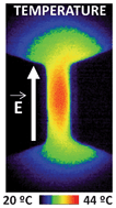 Graphical abstract: Thermal loading in flow-through electroporation microfluidic devices