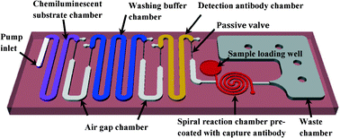 Graphical abstract: An innovative sample-to-answer polymer lab-on-a-chip with on-chip reservoirs for the POCT of thyroid stimulating hormone (TSH)