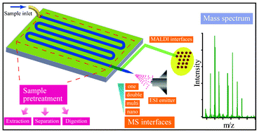 Graphical abstract: Recent advances in microfluidics combined with mass spectrometry: technologies and applications