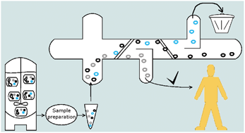 Graphical abstract: Dielectrophoresis based continuous-flow nano sorter: fast quality control of gene vaccines