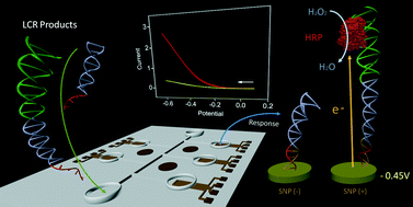 Graphical abstract: μ-eLCR: a microfabricated device for electrochemical detection of DNA base changes in breast cancer cell lines