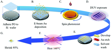 Graphical abstract: Flexible shrink-induced high surface area electrodes for electrochemiluminescent sensing