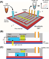 Graphical abstract: Microfluidic integrated optoelectronic tweezers for single-cell preparation and analysis