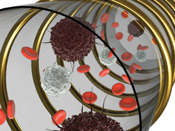 Graphical abstract: Miniaturized nuclear magnetic resonance platform for detection and profiling of circulating tumor cells