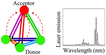 Graphical abstract: Self-assembled DNA tetrahedral optofluidic lasers with precise and tunable gain control