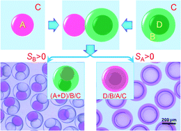 Graphical abstract: Wetting-induced formation of controllable monodisperse multiple emulsions in microfluidics