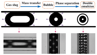 Graphical abstract: A novel microfluidic technology for the preparation of gas-in-oil-in-water emulsions