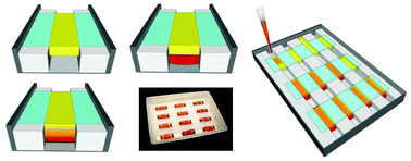 Graphical abstract: A novel method for sample delivery and testing of whole blood: gel strip PCR for point of care (POC) molecular diagnostics