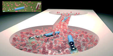 Graphical abstract: Thermal activation of catalytic microjets in blood samples using microfluidic chips