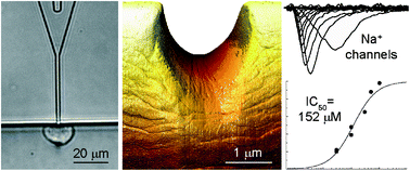 Graphical abstract: Ion channel recordings on an injection-molded polymer chip