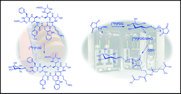 Graphical abstract: Application of [18F]FDG in radiolabeling reactions using microfluidic technology