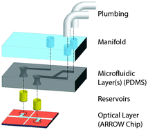 Graphical abstract: Hybrid optofluidic integration