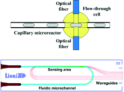 Graphical abstract: Microreactors with integrated UV/Vis spectroscopic detection for online process analysis under segmented flow