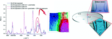 Graphical abstract: SU-8 bonding protocol for the fabrication of microfluidic devices dedicated to FTIR microspectroscopy of live cells