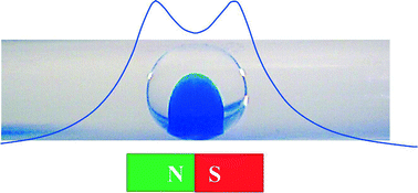 Graphical abstract: Micro magnetofluidics: droplet manipulation of double emulsions based on paramagnetic ionic liquids