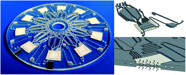 Graphical abstract: Gas diffusion as a new fluidic unit operation for centrifugal microfluidic platforms